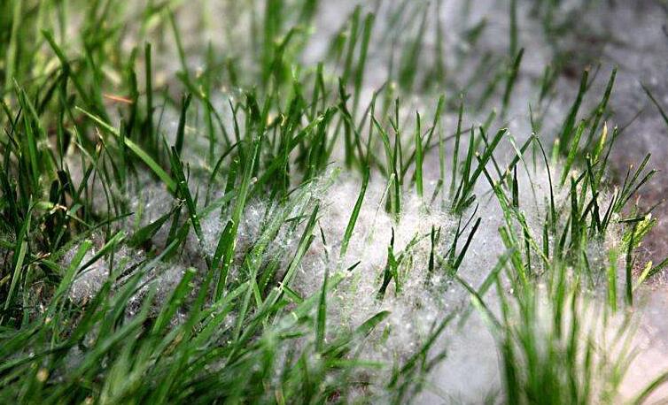 冬季將至，如何除去人造草皮中的冰雪？鉆石地為您支招
