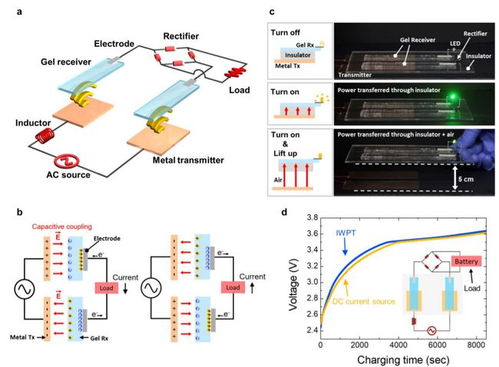 腦科學(xué)日?qǐng)?bào) 超加工食品加速衰老，全球最大神經(jīng)元類腦計(jì)算機(jī)問世，通訊設(shè)備設(shè)計(jì)革新